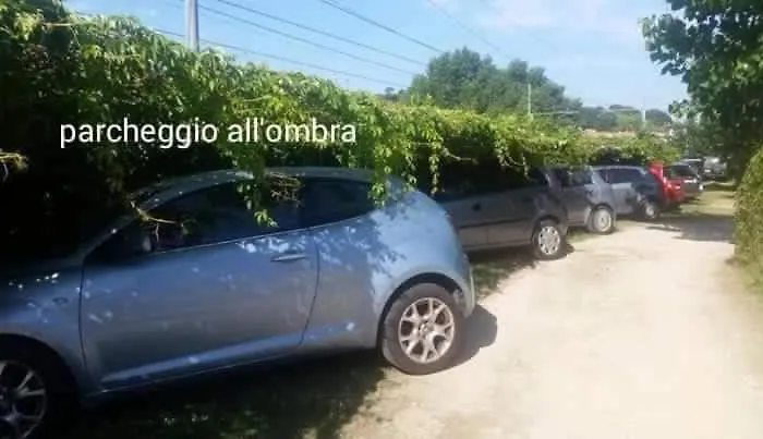 Kamp alanı Onda Azzurra Ortona