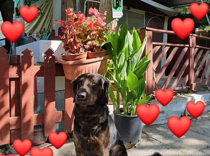 Kamp alanı Onda Azzurra