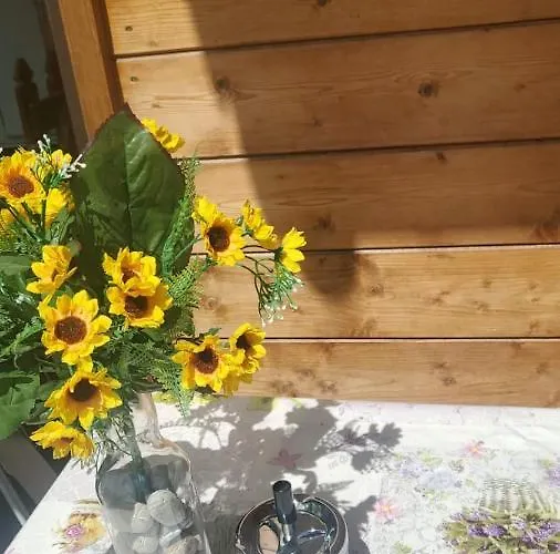 Kamp alanı Onda Azzurra