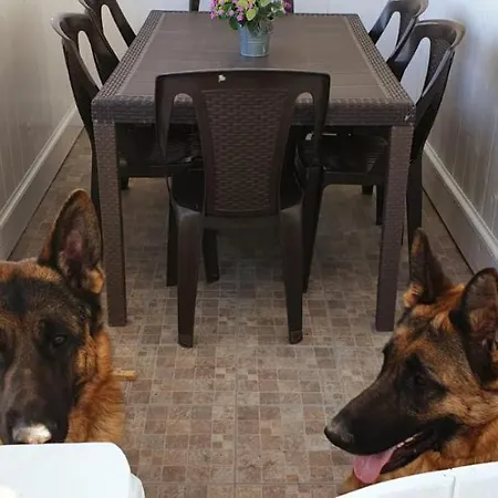 Onda Azzurra Camping *