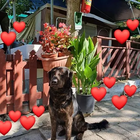 Camping Onda Azzurra