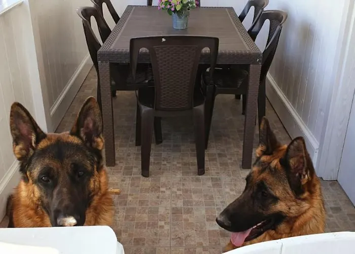 Onda Azzurra אתר קמפינג *